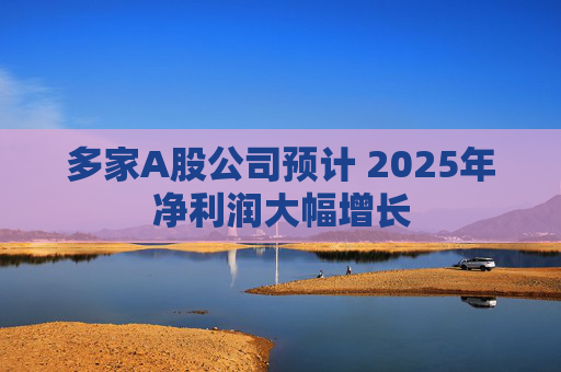 多家A股公司预计 2025年净利润大幅增长