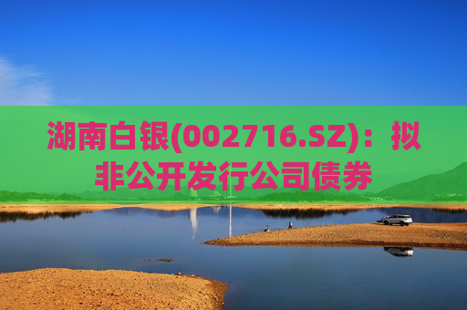 湖南白银(002716.SZ)：拟非公开发行公司债券  第1张