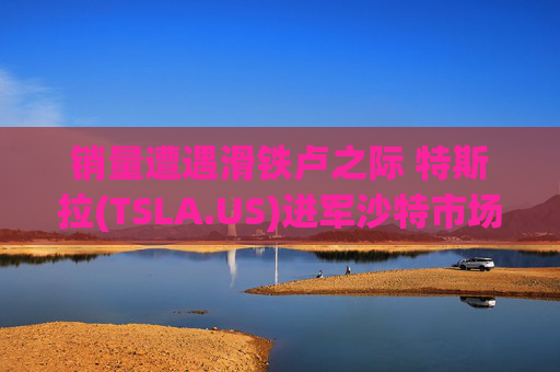销量遭遇滑铁卢之际 特斯拉(TSLA.US)进军沙特市场