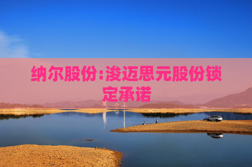 纳尔股份:浚迈思元股份锁定承诺