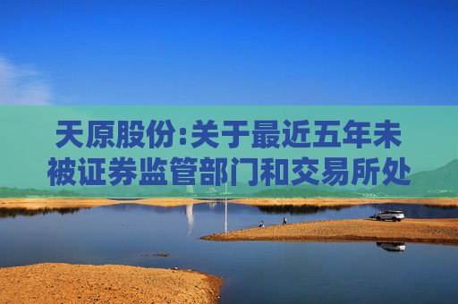 天原股份:关于最近五年未被证券监管部门和交易所处罚或采取监管措施的公告