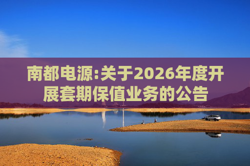南都电源:关于2026年度开展套期保值业务的公告