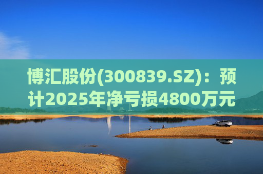 博汇股份(300839.SZ):预计2025年净亏损4800万元-7000万元 第1张 博汇股份(300839.SZ):预计2025年净亏损4800万元-7000万元 第1张