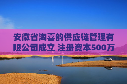 安徽省淘喜韵供应链管理有限公司成立 注册资本500万人民币