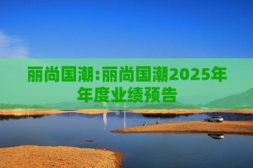 丽尚国潮:丽尚国潮2025年年度业绩预告