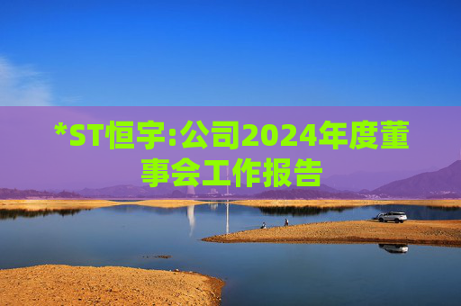 *ST恒宇:公司2024年度董事会工作报告
