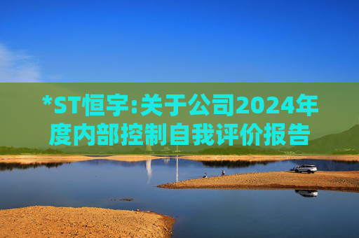 *ST恒宇:关于公司2024年度内部控制自我评价报告