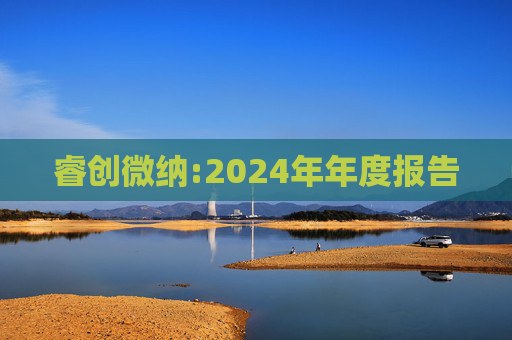 睿创微纳:2024年年度报告