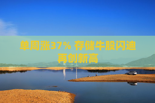 单周涨37% 存储牛股闪迪再创新高