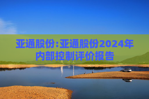 亚通股份:亚通股份2024年内部控制评价报告  第1张