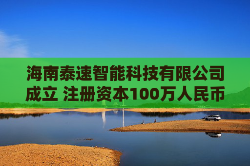 海南泰速智能科技有限公司成立 注册资本100万人民币