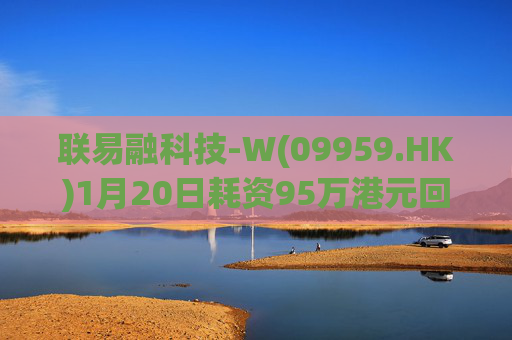联易融科技-W(09959.HK)1月20日耗资95万港元回购40万股  第1张