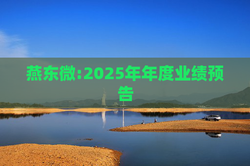 燕东微:2025年年度业绩预告