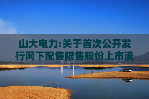山大电力:关于首次公开发行网下配售限售股份上市流通提示性公告  第1张