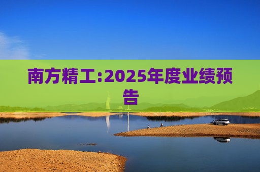 南方精工:2025年度业绩预告
