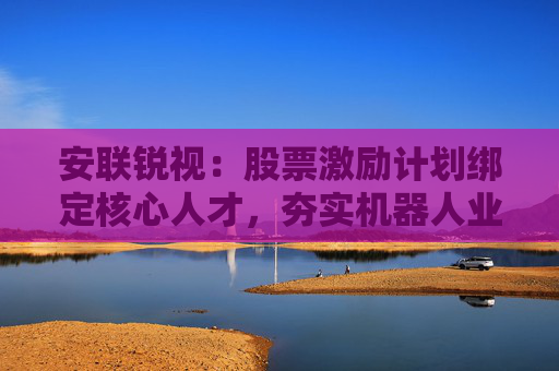 安联锐视：股票激励计划绑定核心人才，夯实机器人业务增长动能