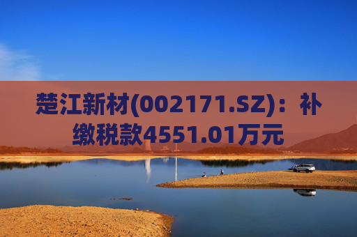 楚江新材(002171.SZ)：补缴税款4551.01万元