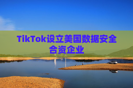 TikTok设立美国数据安全合资企业