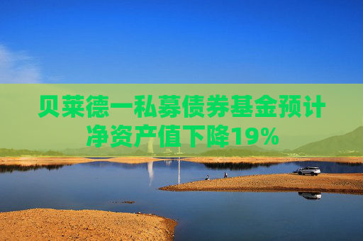 贝莱德一私募债券基金预计净资产值下降19%