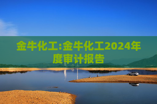 金牛化工:金牛化工2024年度审计报告  第1张
