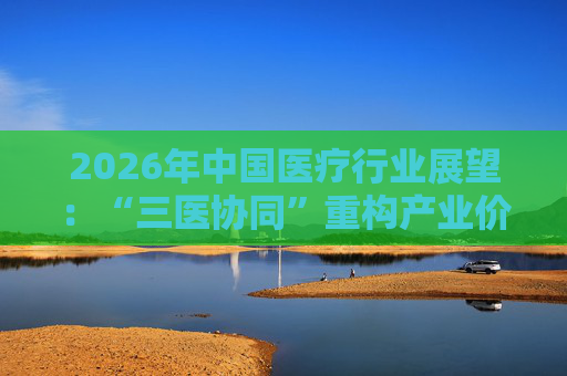 2026年中国医疗行业展望：“三医协同”重构产业价值链