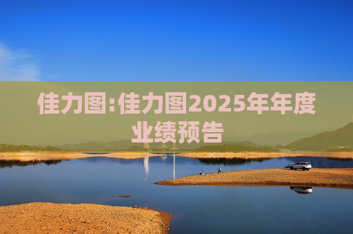 佳力图:佳力图2025年年度业绩预告