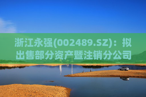 浙江永强(002489.SZ)：拟出售部分资产暨注销分公司