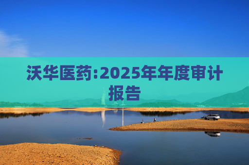 沃华医药:2025年年度审计报告