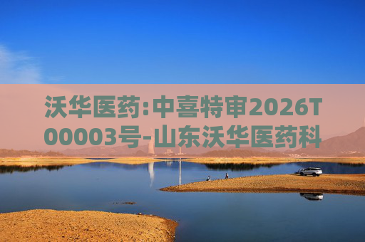 沃华医药:中喜特审2026T00003号-山东沃华医药科技股份有限公司-关联资金占用报告
