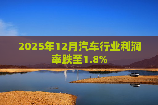 2025年12月汽车行业利润率跌至1.8%