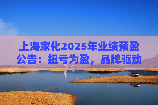 上海家化2025年业绩预盈公告：扭亏为盈，品牌驱动重回增长轨道  第1张