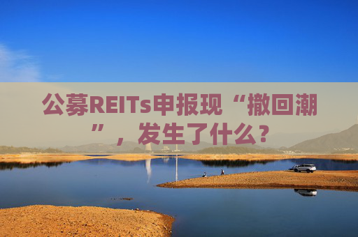 公募REITs申报现“撤回潮”，发生了什么？
