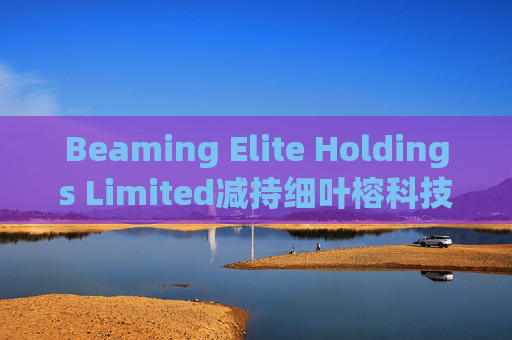 Beaming Elite Holdings Limited减持细叶榕科技(08107)254.5万股 每股作价0.1776港元