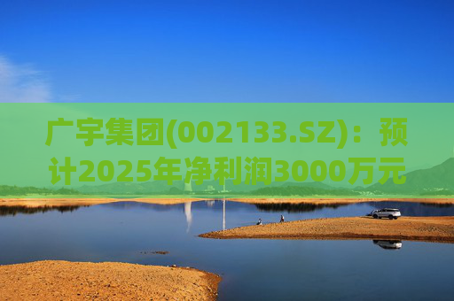 广宇集团(002133.SZ)：预计2025年净利润3000万元至4500万元