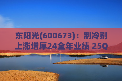 东阳光(600673)：制冷剂上涨增厚24全年业绩 25Q1业绩略超预期 液冷与具身智能共创未来  第1张