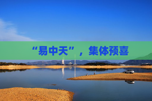 “易中天”，集体预喜