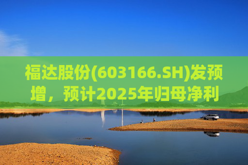 福达股份(603166.SH)发预增,预计2025年归母净利润同比增加67.31%到78.11% 第1张 福达股份(603166.SH)发预增,预计2025年归母净利润同比增加67.31%到78.11% 第1张