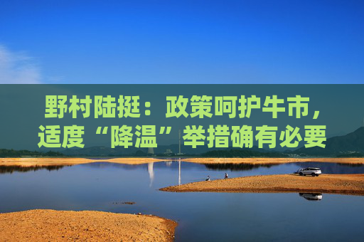 野村陆挺：政策呵护牛市，适度“降温”举措确有必要