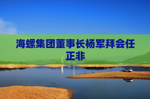 海螺集团董事长杨军拜会任正非