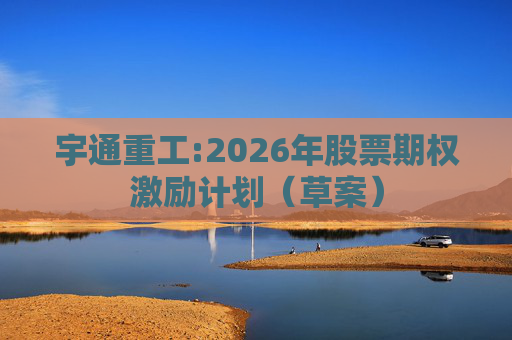 宇通重工:2026年股票期权激励计划（草案）