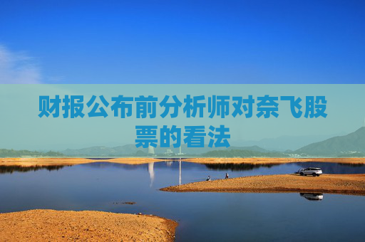 财报公布前分析师对奈飞股票的看法