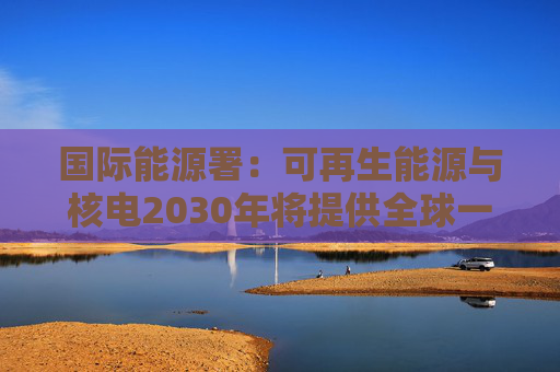 国际能源署：可再生能源与核电2030年将提供全球一半电力
