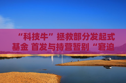 “科技牛”拯救部分发起式基金 首发与持营暂别“窘迫”