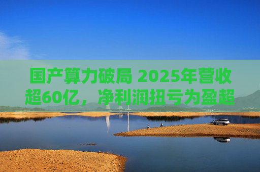 国产算力破局 2025年营收超60亿，净利润扭亏为盈超18亿