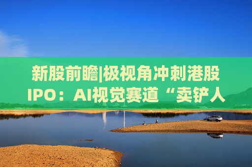 新股前瞻|极视角冲刺港股IPO：AI视觉赛道“卖铲人”潜力可期，盈利波动困境难解