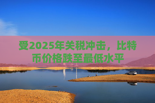 受2025年关税冲击，比特币价格跌至最低水平  第1张