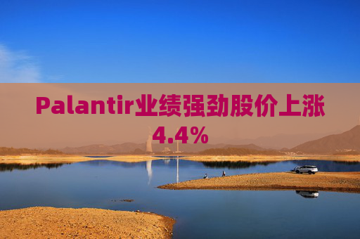 Palantir业绩强劲股价上涨4.4%