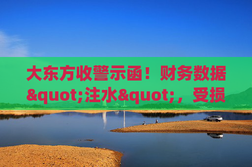 大东方收警示函！财务数据"注水"，受损股民可索赔维权