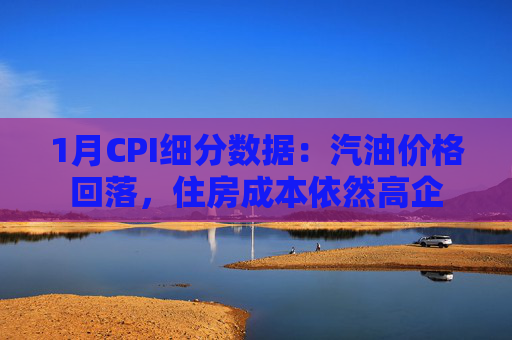 1月CPI细分数据：汽油价格回落，住房成本依然高企