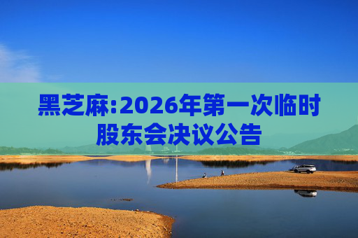 黑芝麻:2026年第一次临时股东会决议公告